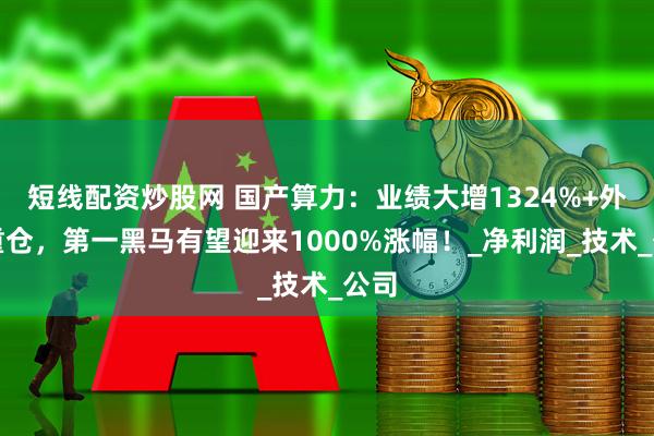 短线配资炒股网 国产算力：业绩大增1324%+外资重仓，第一黑马有望迎来1000%涨幅！_净利润_技术_公司