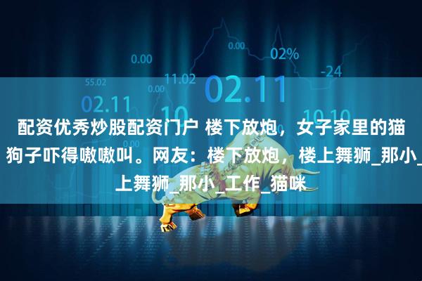 配资优秀炒股配资门户 楼下放炮，女子家里的猫吓得乱窜，狗子吓得嗷嗷叫。网友：楼下放炮，楼上舞狮_那小_工作_猫咪