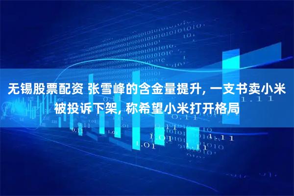 无锡股票配资 张雪峰的含金量提升, 一支书卖小米被投诉下架, 称希望小米打开格局
